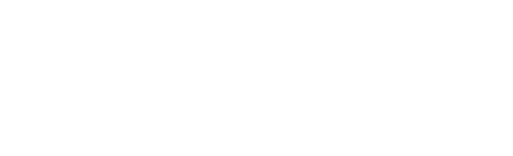 Honor X9c