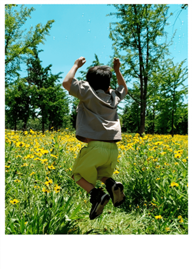 Высокое качество изображения 2